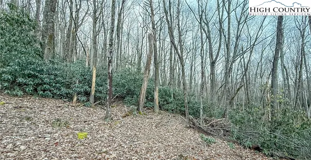 $125,000 | 61 Wildcat Wilderness Parkway, Deep Gap, NC 28618