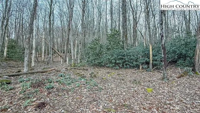 $125,000 | 61 Wildcat Wilderness Parkway, Deep Gap, NC 28618