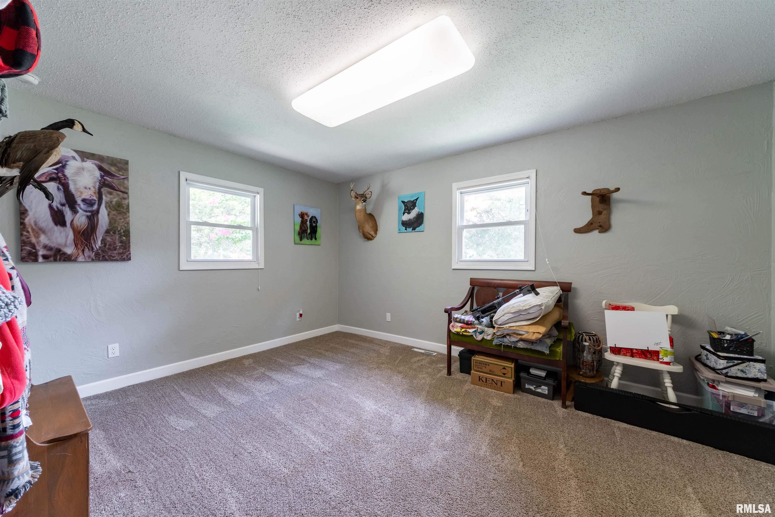 13317 Davidson Road Marion, IL 62959 - Photo 13 of 39