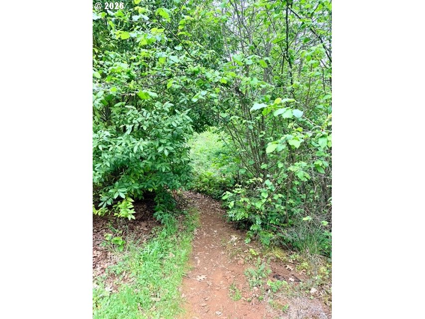 32424 Camas Swale Road Creswell, OR 97426 - Photo 17 of 19