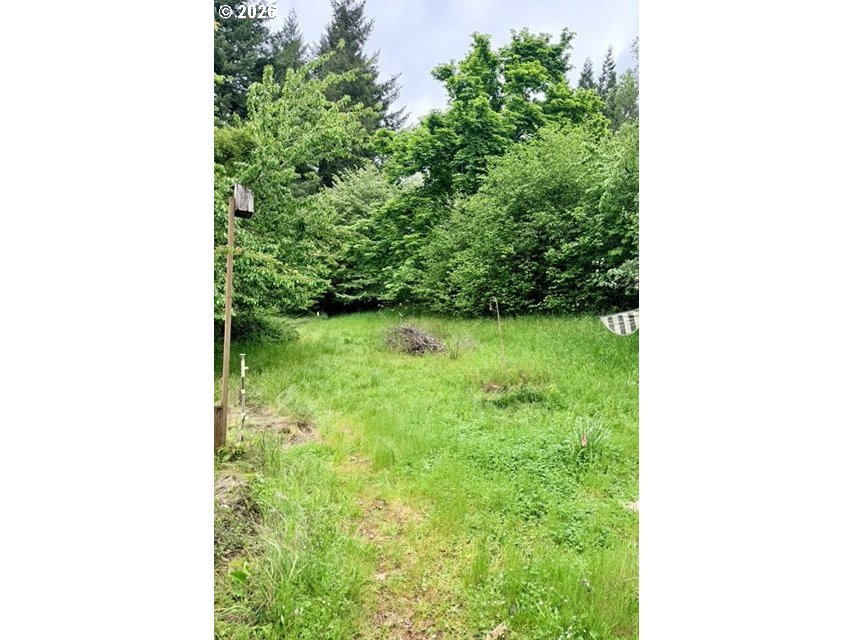 32424 Camas Swale Road Creswell, OR 97426 - Photo 18 of 19