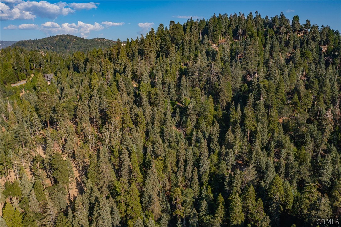 716 Blue Ridge Drive Lake Arrowhead, CA 92385 - Photo 11 of 14 a view of a city with lush green forest