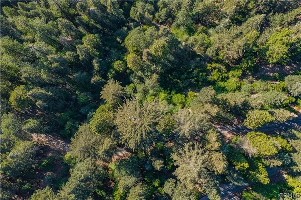 a view of a house with a lush green forest