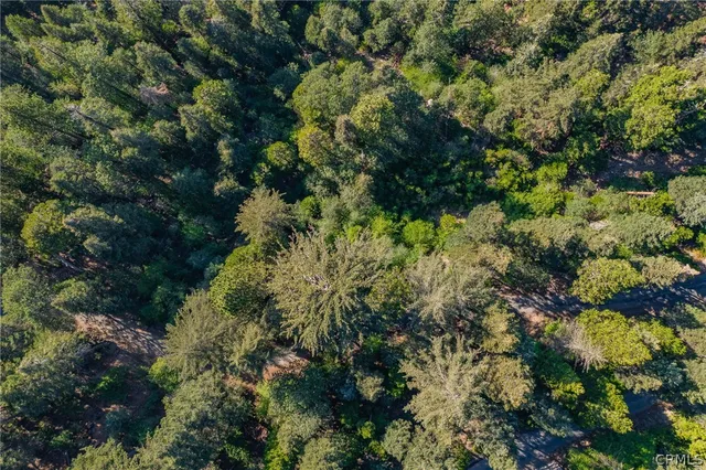 a view of a house with a lush green forest