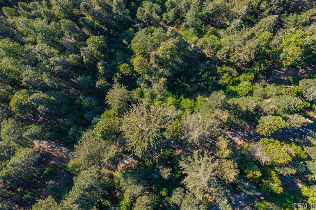 716 Blue Ridge Drive Lake Arrowhead, CA 92385 - Photo 13 of 14 a view of a house with a lush green forest