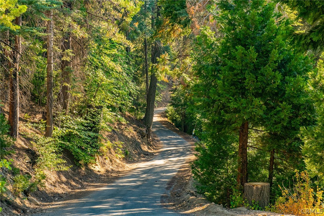 716 Blue Ridge Drive Lake Arrowhead, CA 92385 - Photo 2 of 14 a view of a yard with plants and trees