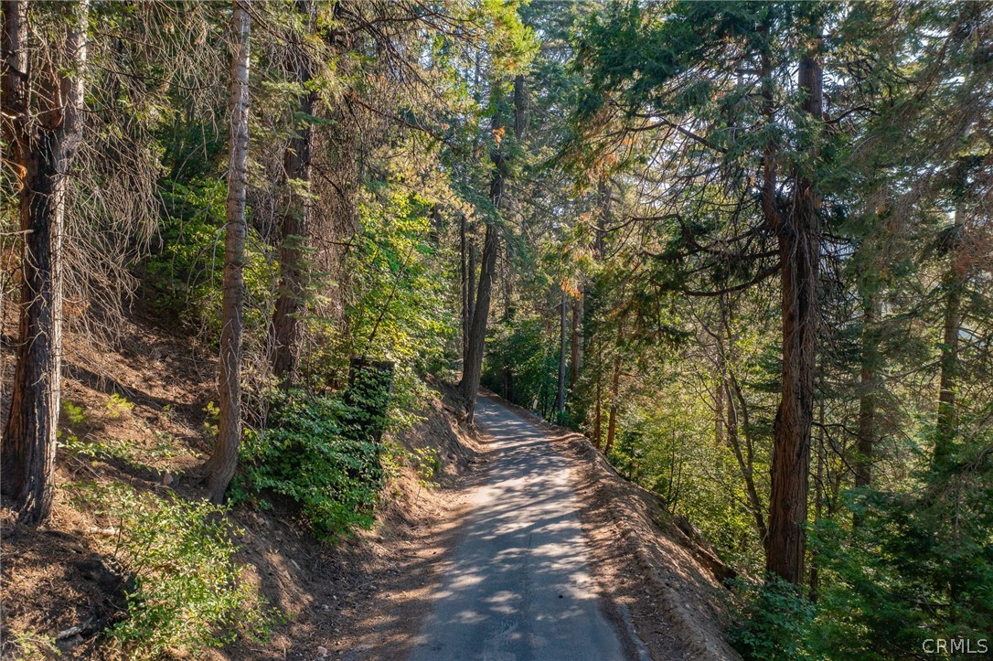716 Blue Ridge Drive Lake Arrowhead, CA 92385 - Photo 10 of 14 a picture of trees