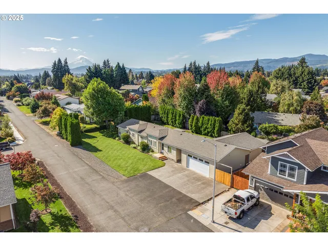 a aerial view of a house with a yard and potted plants