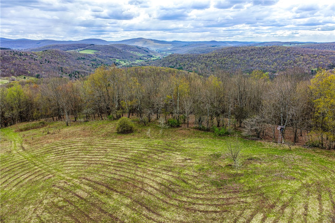 Lot 3 Brownell Road Bloomville, NY 13739 - Photo 33 of 35