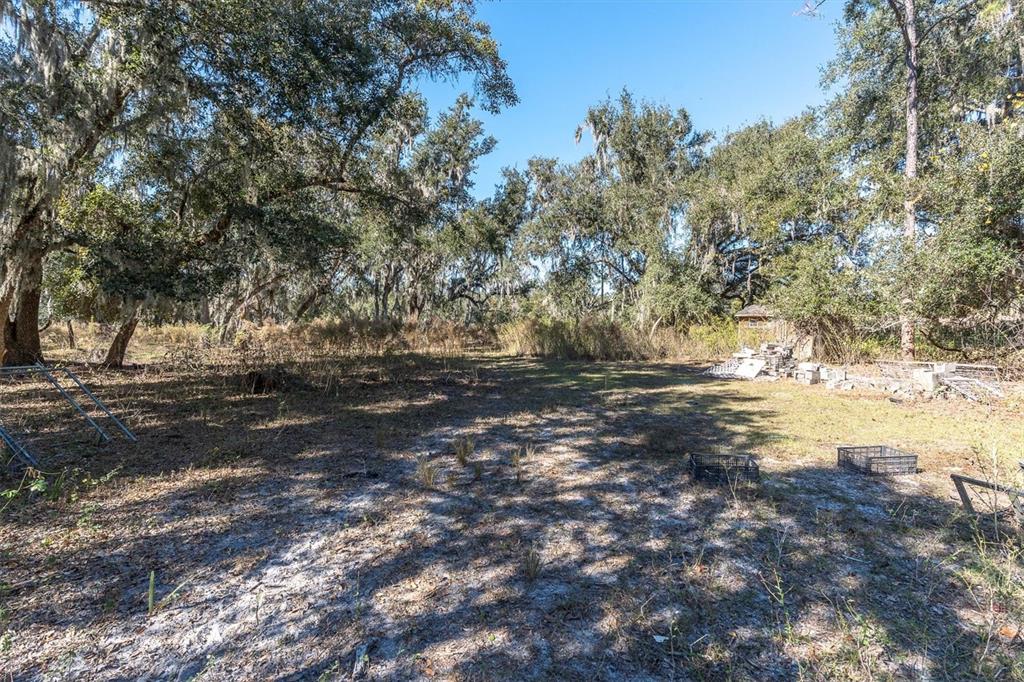 4103 Stanley Road Plant City, FL 33565 - Photo 7 of 11