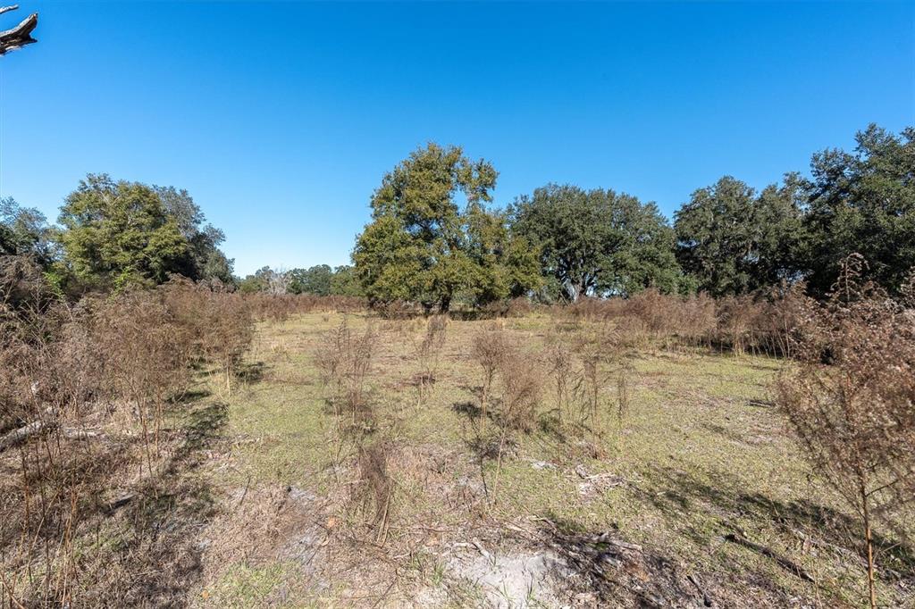 4103 Stanley Road Plant City, FL 33565 - Photo 9 of 11