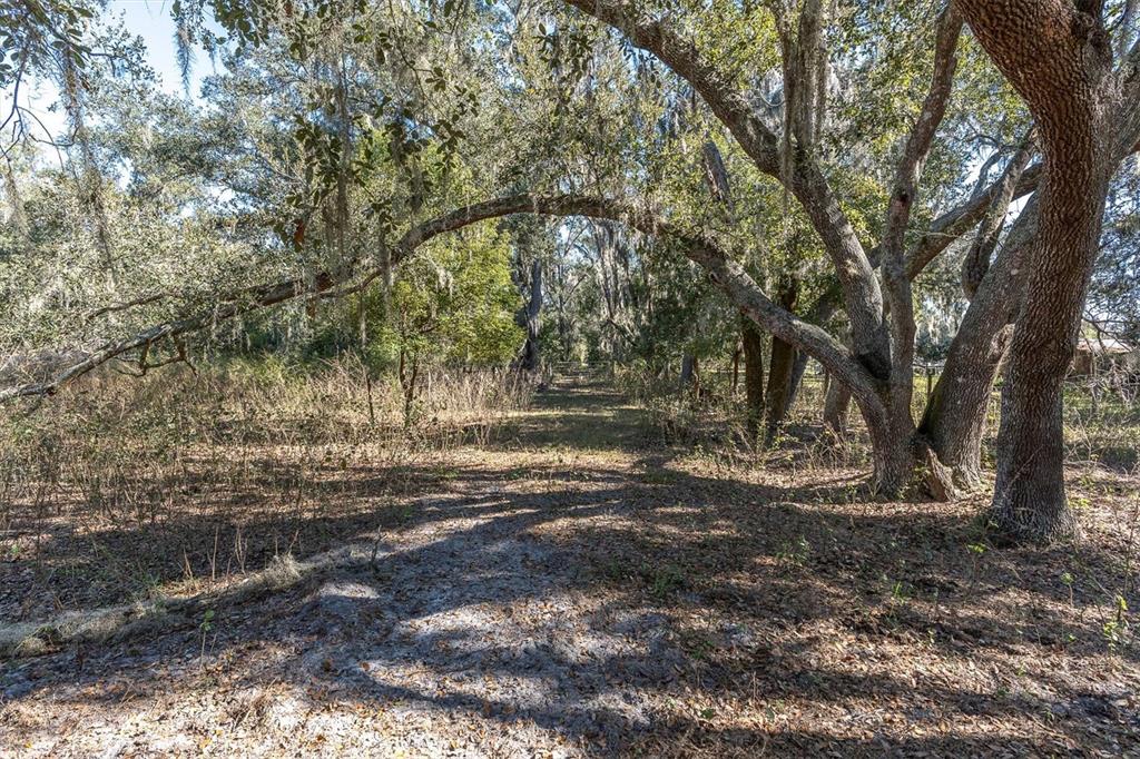 4103 Stanley Road Plant City, FL 33565 - Photo 10 of 11