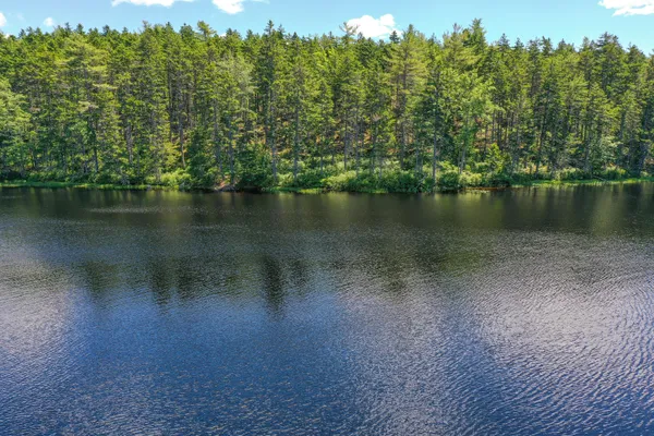 $209,000 | Lot 1 Waldoboro Road, Friendship, ME 04547