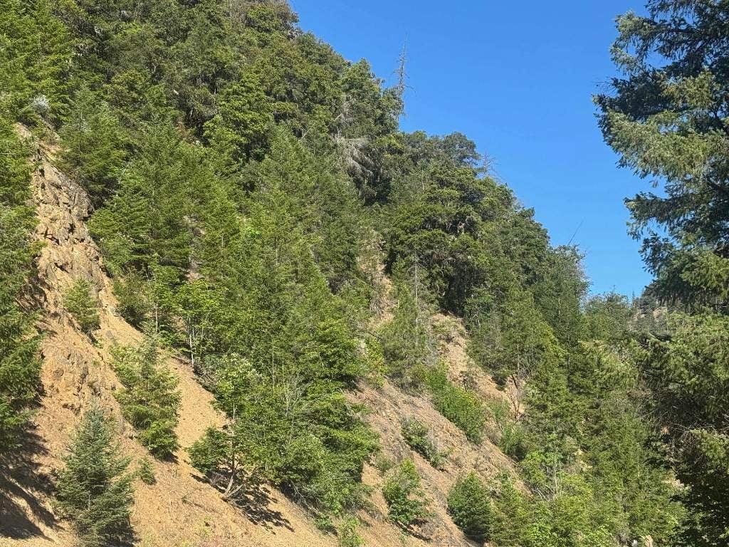 96 Highway 96 Road Klamath River, CA 96050 - Photo 3 of 6 Gallery Image 3