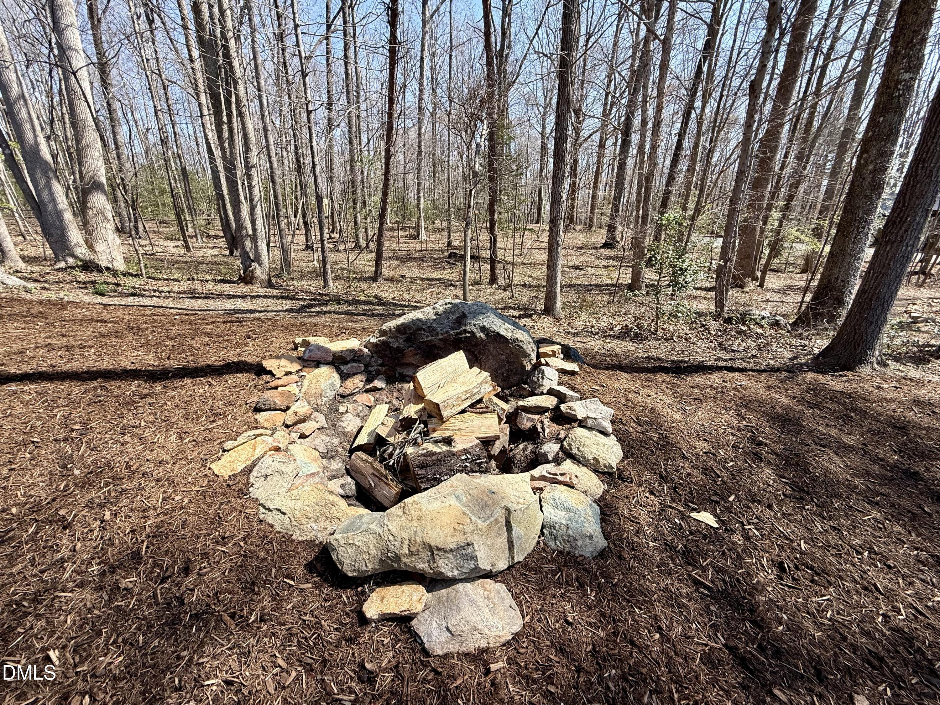 6450 Moores Mill Road Rougemont, NC 27572 - Photo 52 of 66 IMG_3511 2