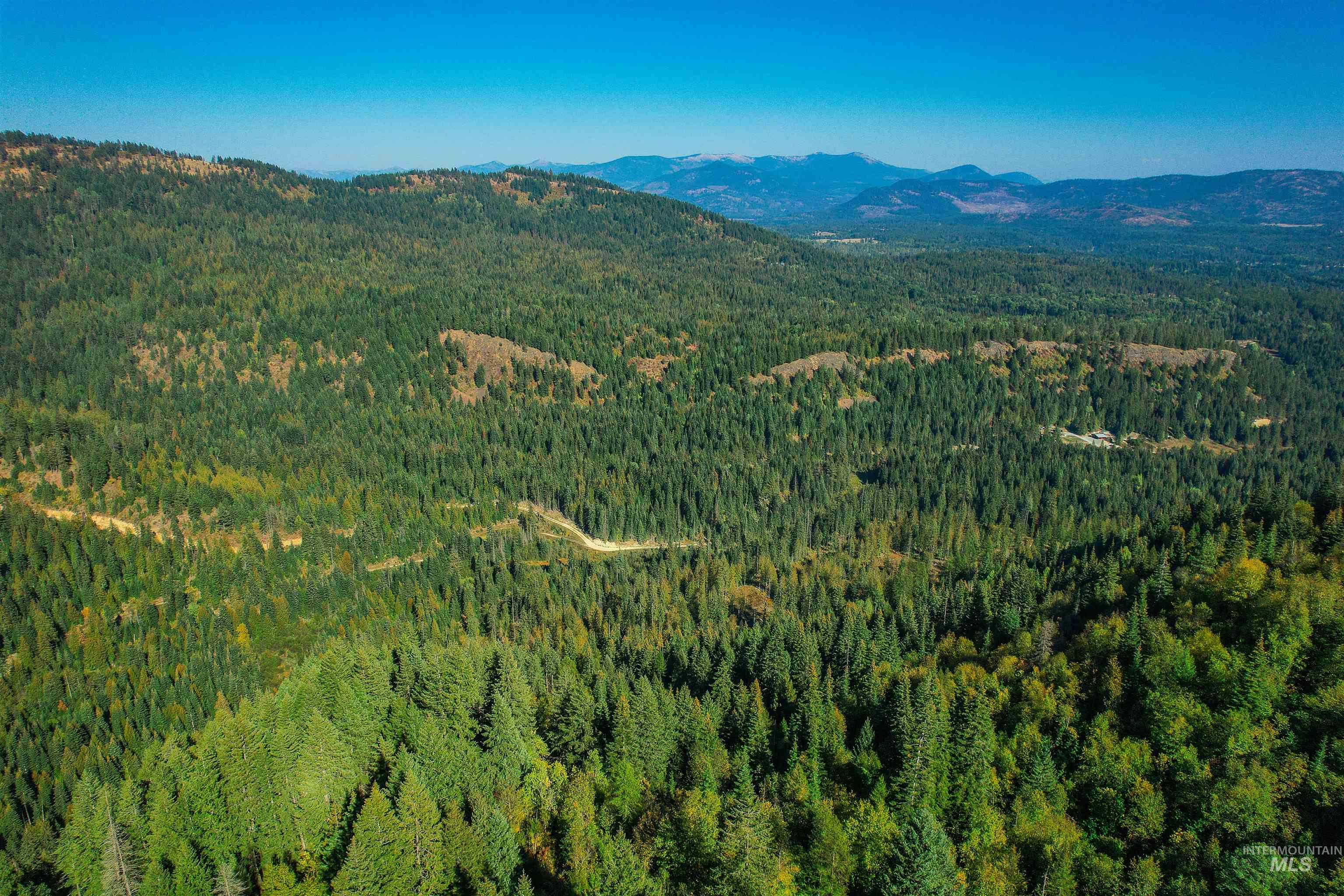Nka Bodie Canyon Road Priest River, ID 83856 - Photo 14 of 16