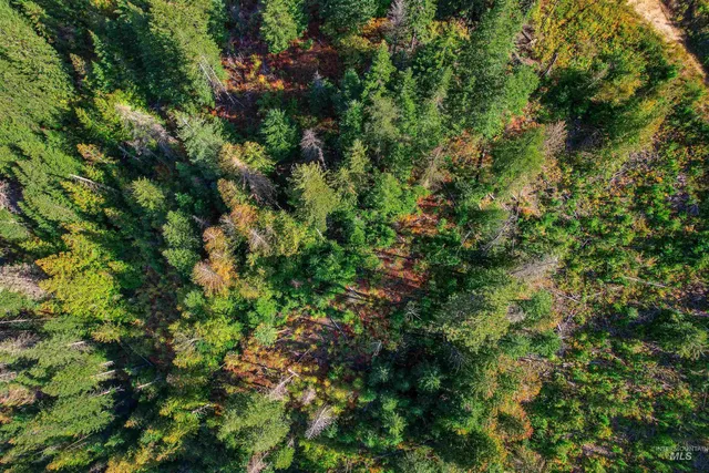 $155,000 | Nka Bodie Canyon Road, Priest River, ID 83856