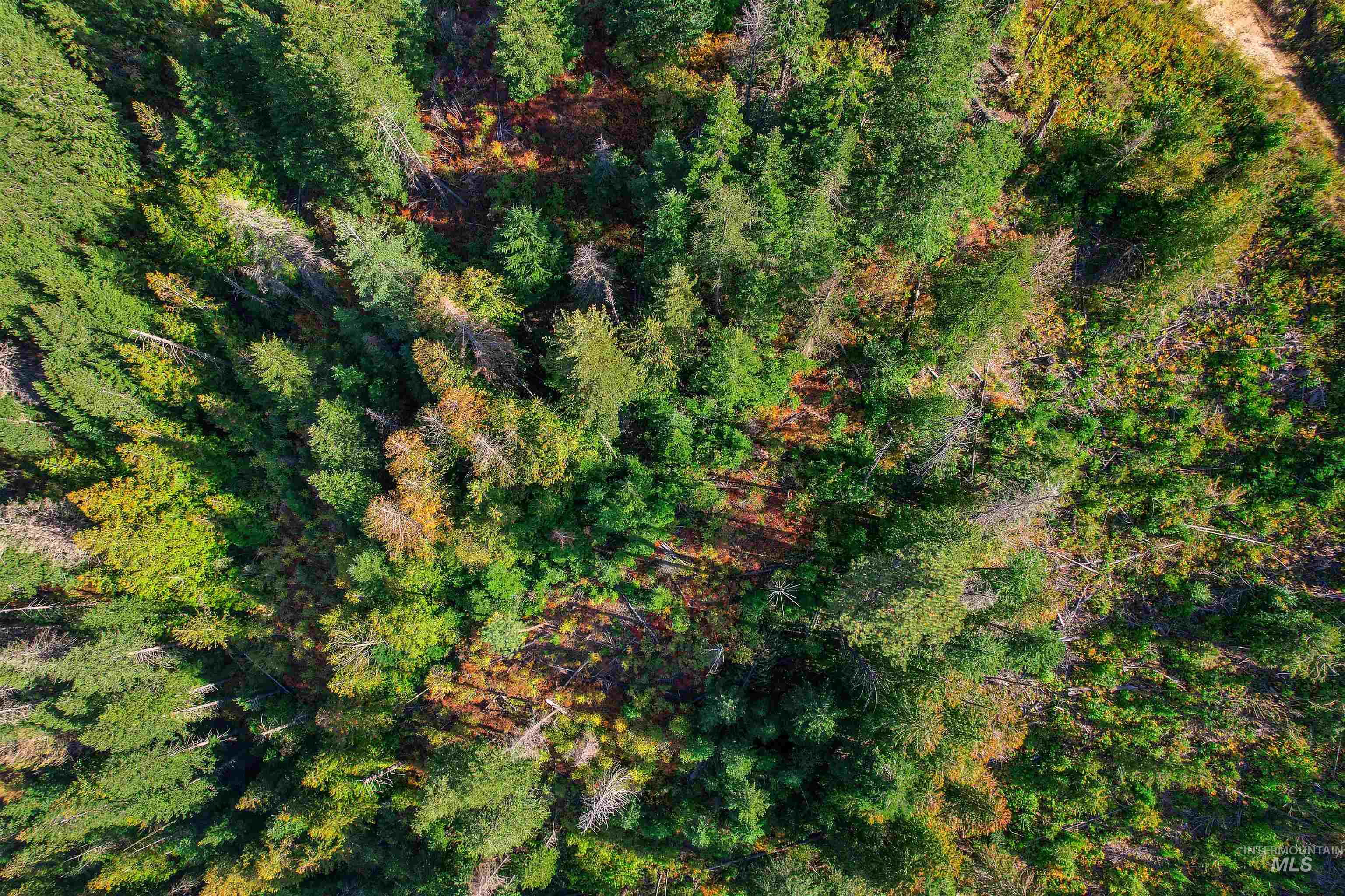 Nka Bodie Canyon Road Priest River, ID 83856 - Photo 15 of 16