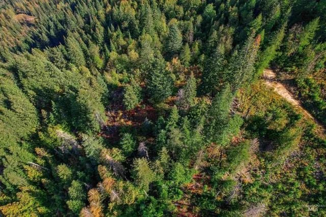 $155,000 | Nka Bodie Canyon Road, Priest River, ID 83856