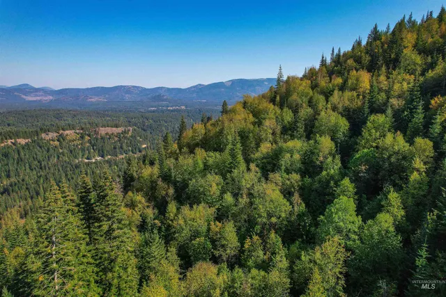 $155,000 | Nka Bodie Canyon Road, Priest River, ID 83856