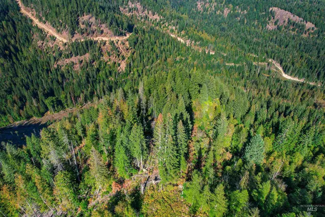 $155,000 | Nka Bodie Canyon Road, Priest River, ID 83856