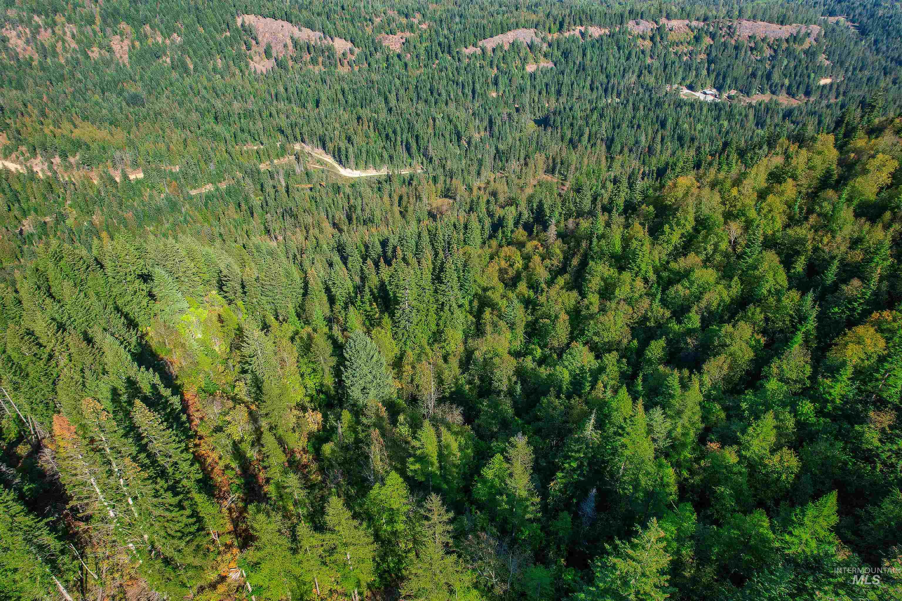Nka Bodie Canyon Road Priest River, ID 83856 - Photo 10 of 16