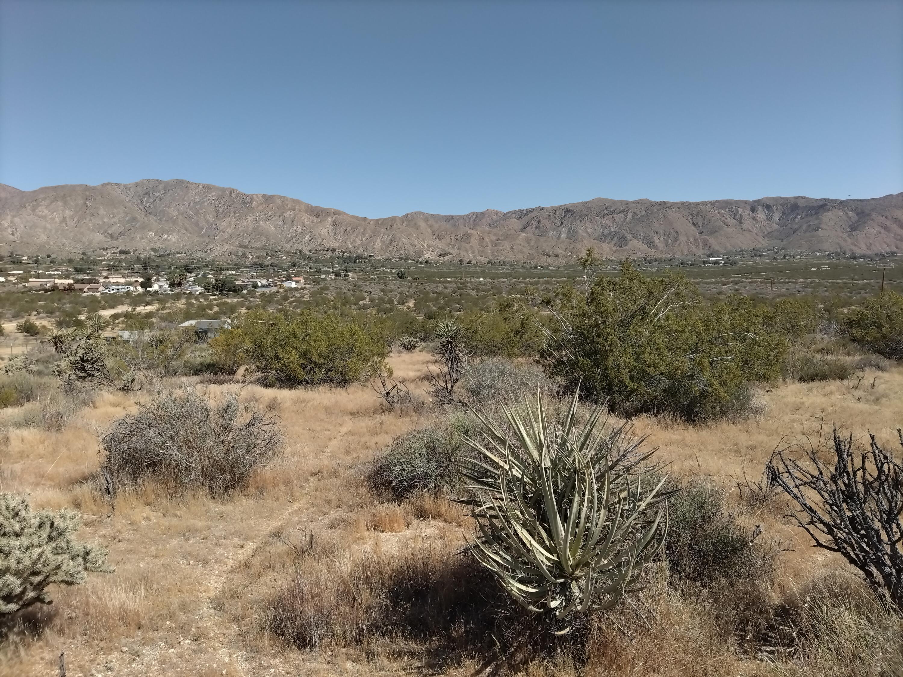 Canyon Rd Canyon Road Morongo Valley, CA 92256 - Photo 6 of 8 Morongo Property 3