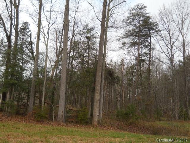 0 Rainey Road Salisbury, NC 28146 - Photo 1 of 1