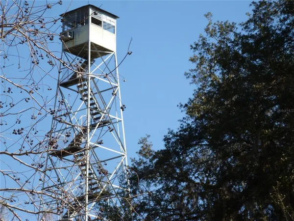 a view of a backyard of a house