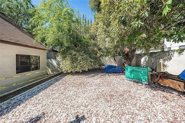 a view of a yard with plants and a tree