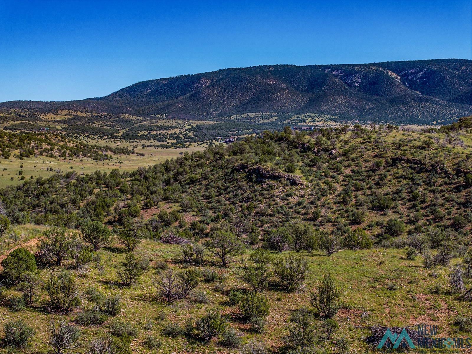 398 Pine Road Capitan, NM 88316 - Photo 5 of 68