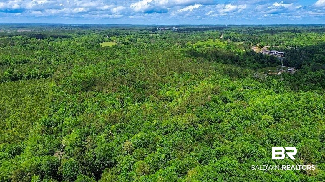 0 Loree Road Evergreen, AL 36401 - Photo 2 of 10 Bird's eye view of a forest