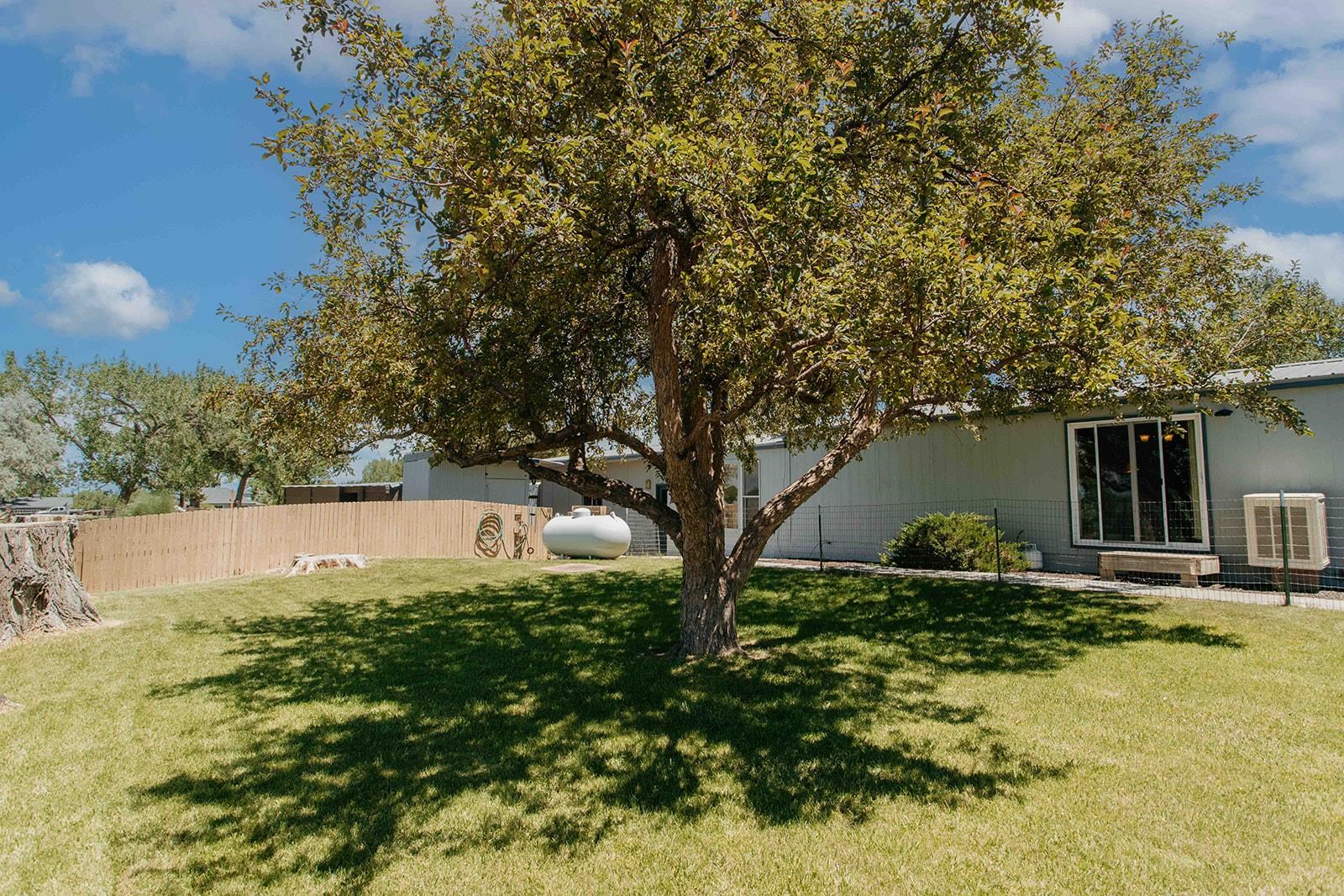 14679 5875th Road Montrose, CO 81403 - Photo 33 of 41 Gallery Image 33