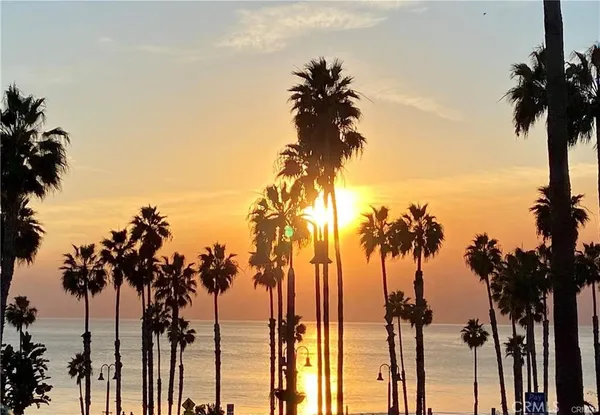 an ocean view with palm trees