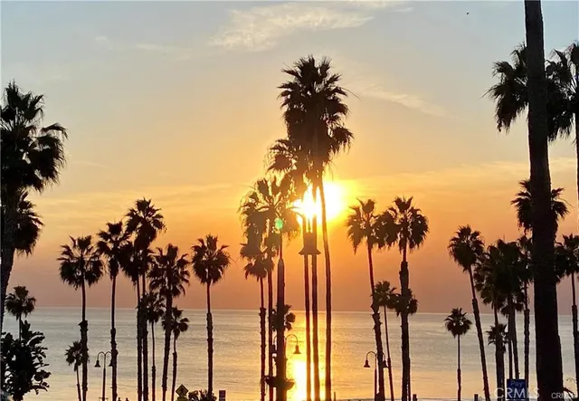 an ocean view with palm trees