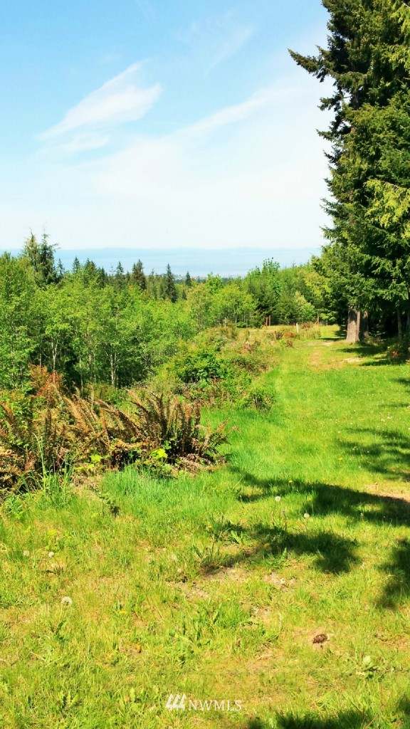 5276 Old Mill Road Port Angeles, WA 98362 - Photo 4 of 17 Gallery Image 4