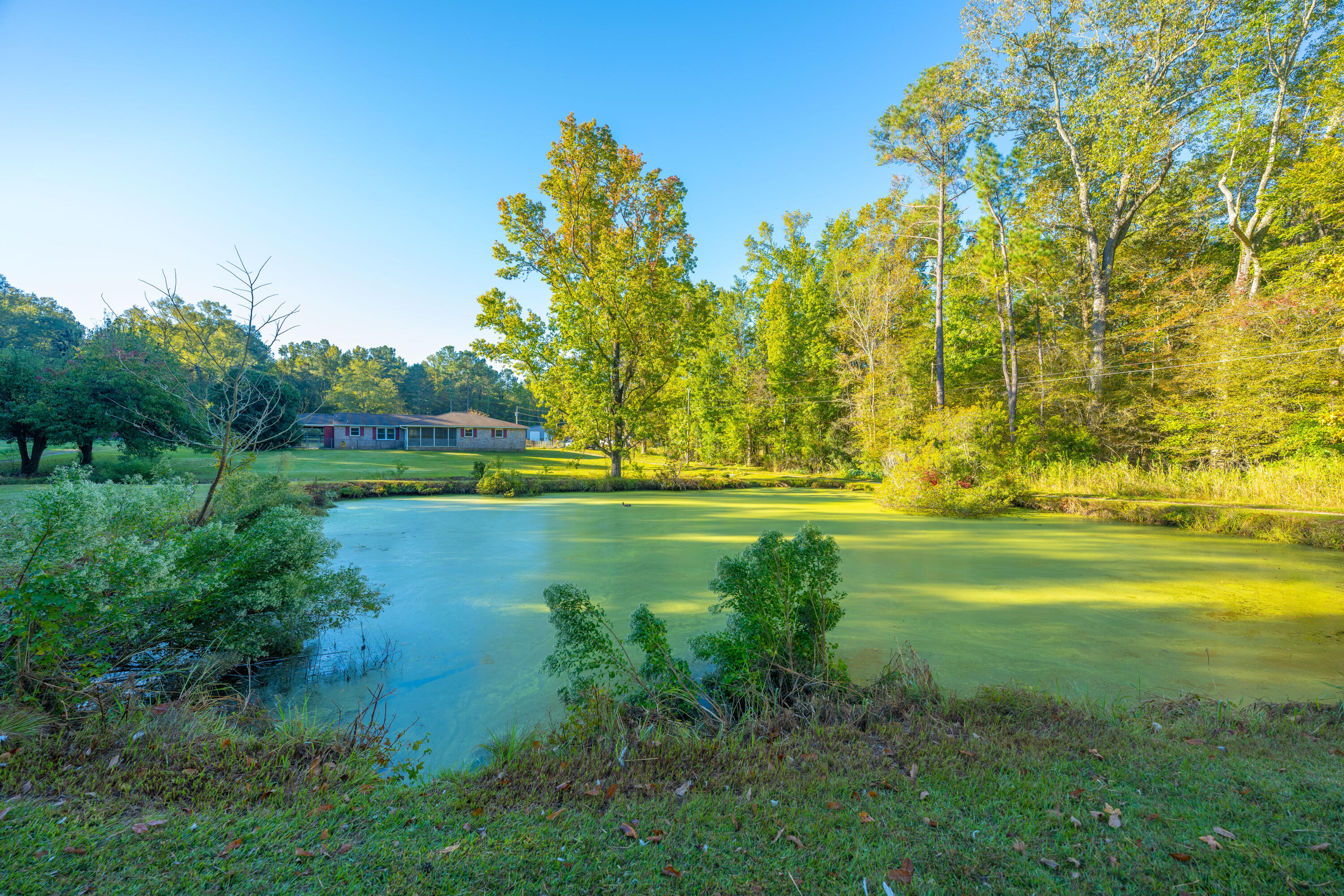 267 Sedgewick Road Summerville, SC 29483 - Photo 11 of 49 323Sedgefield011