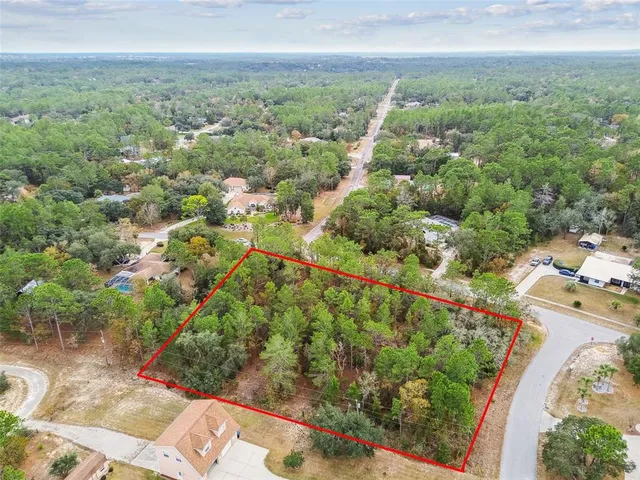 a view of a yard with plants