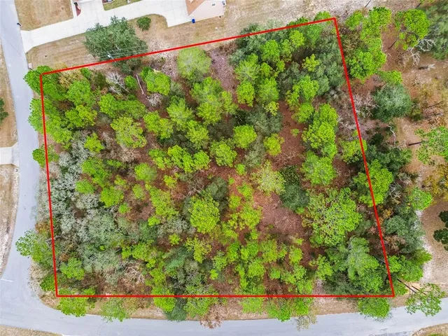 a view of a yard with an outdoor space