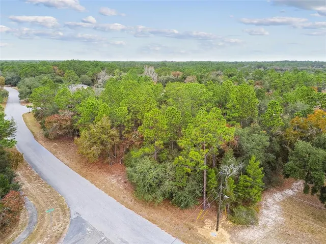 a view of a yard with plants and large trees