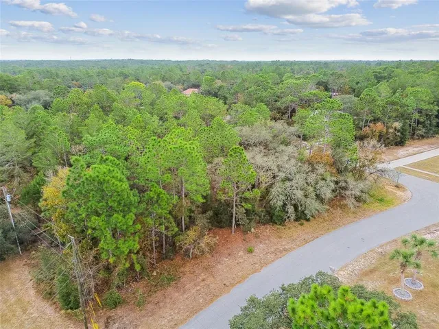 a view of a garden with trees