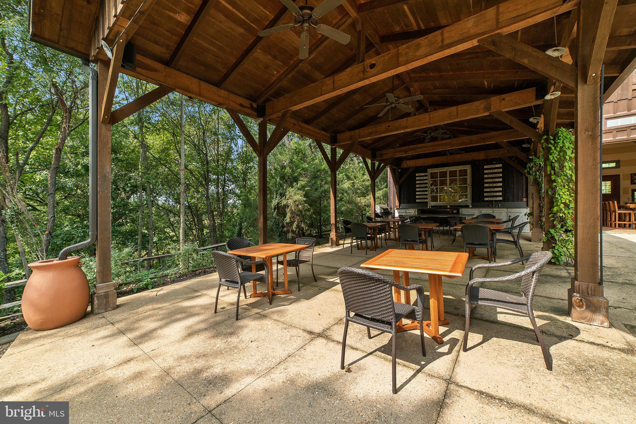 8517 Maidstone Road Delaplane, VA 20144 - Photo 42 of 49