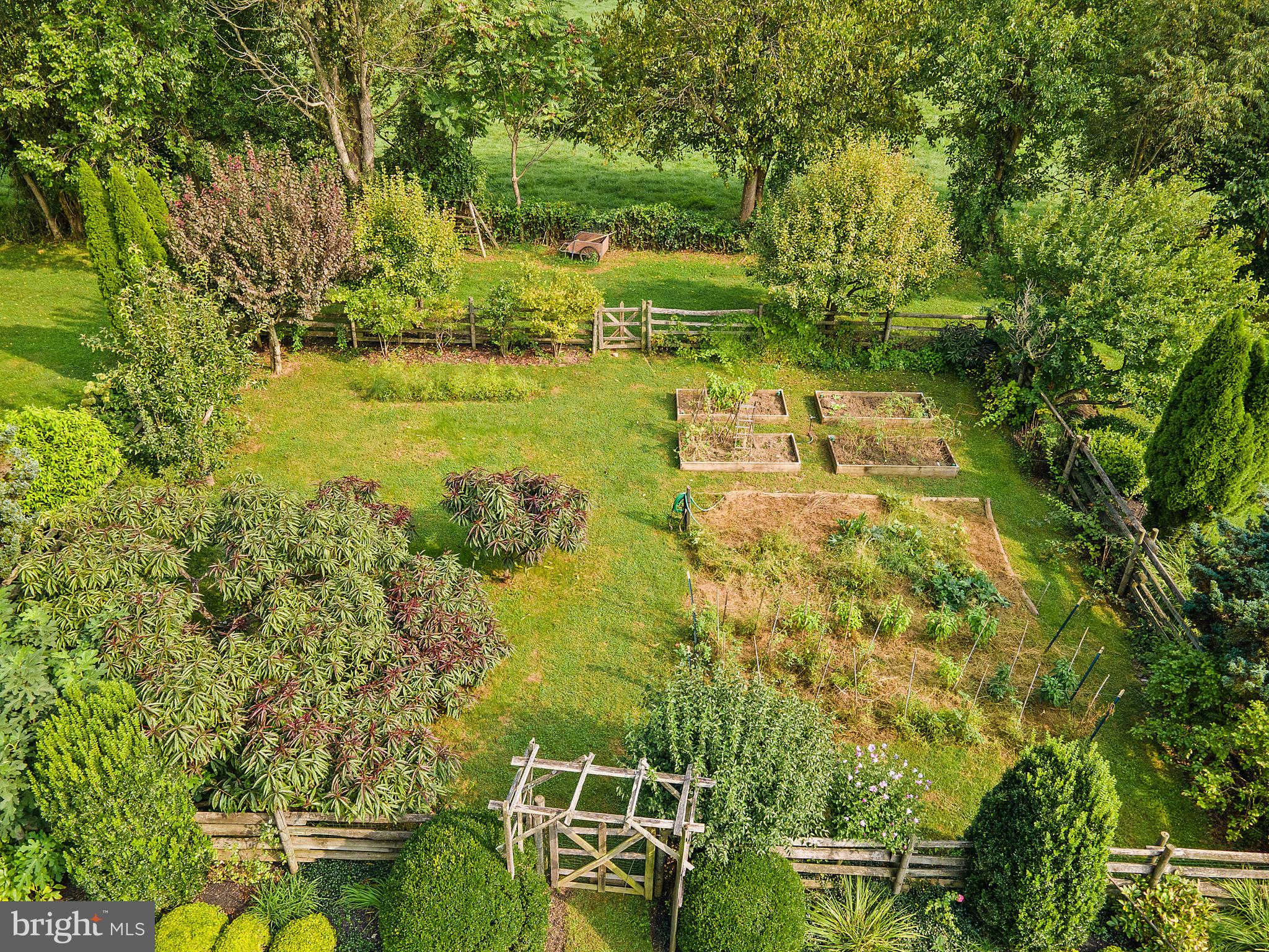 8517 Maidstone Road Delaplane, VA 20144 - Photo 44 of 49