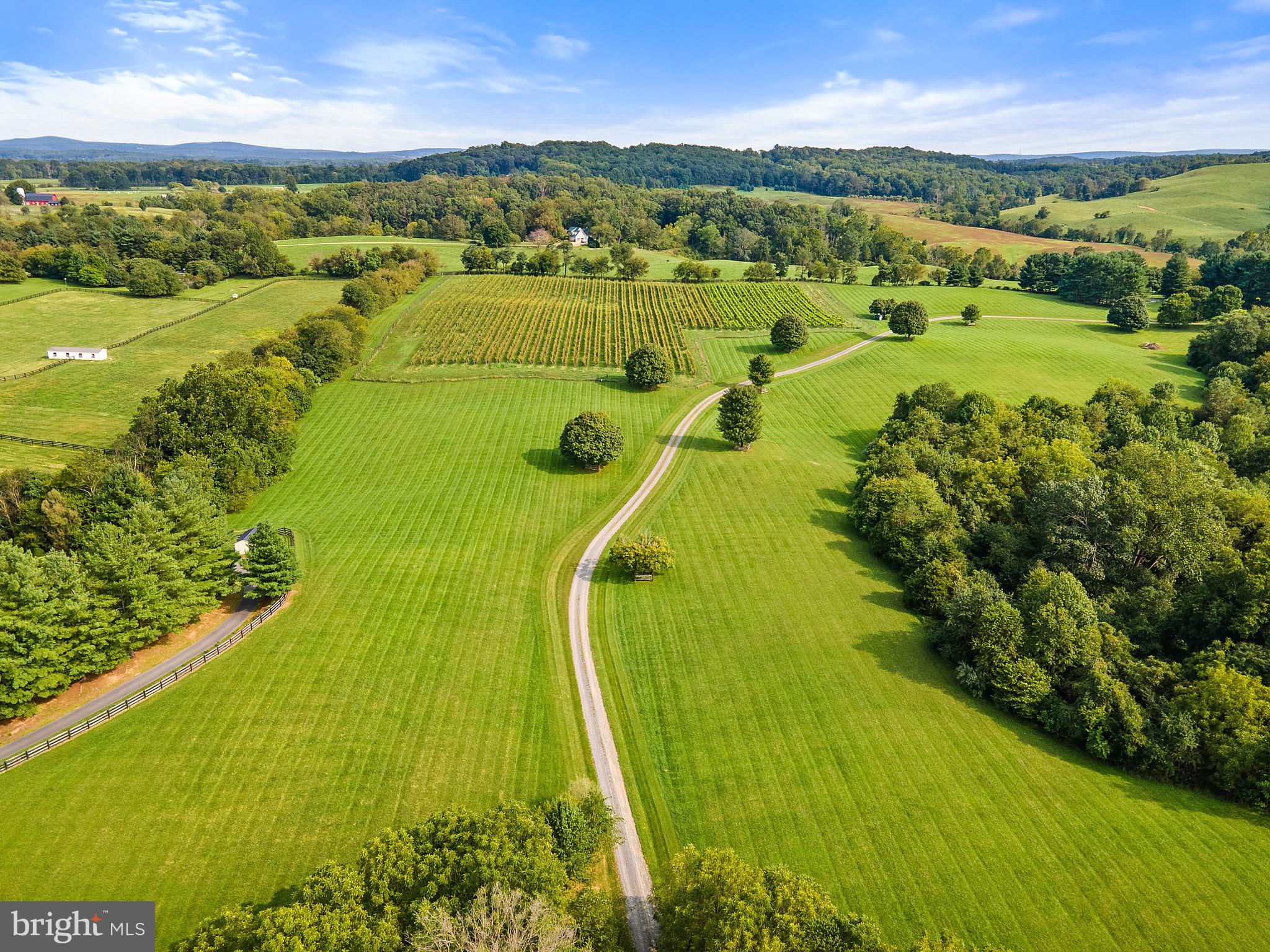 8517 Maidstone Road Delaplane, VA 20144 - Photo 45 of 49