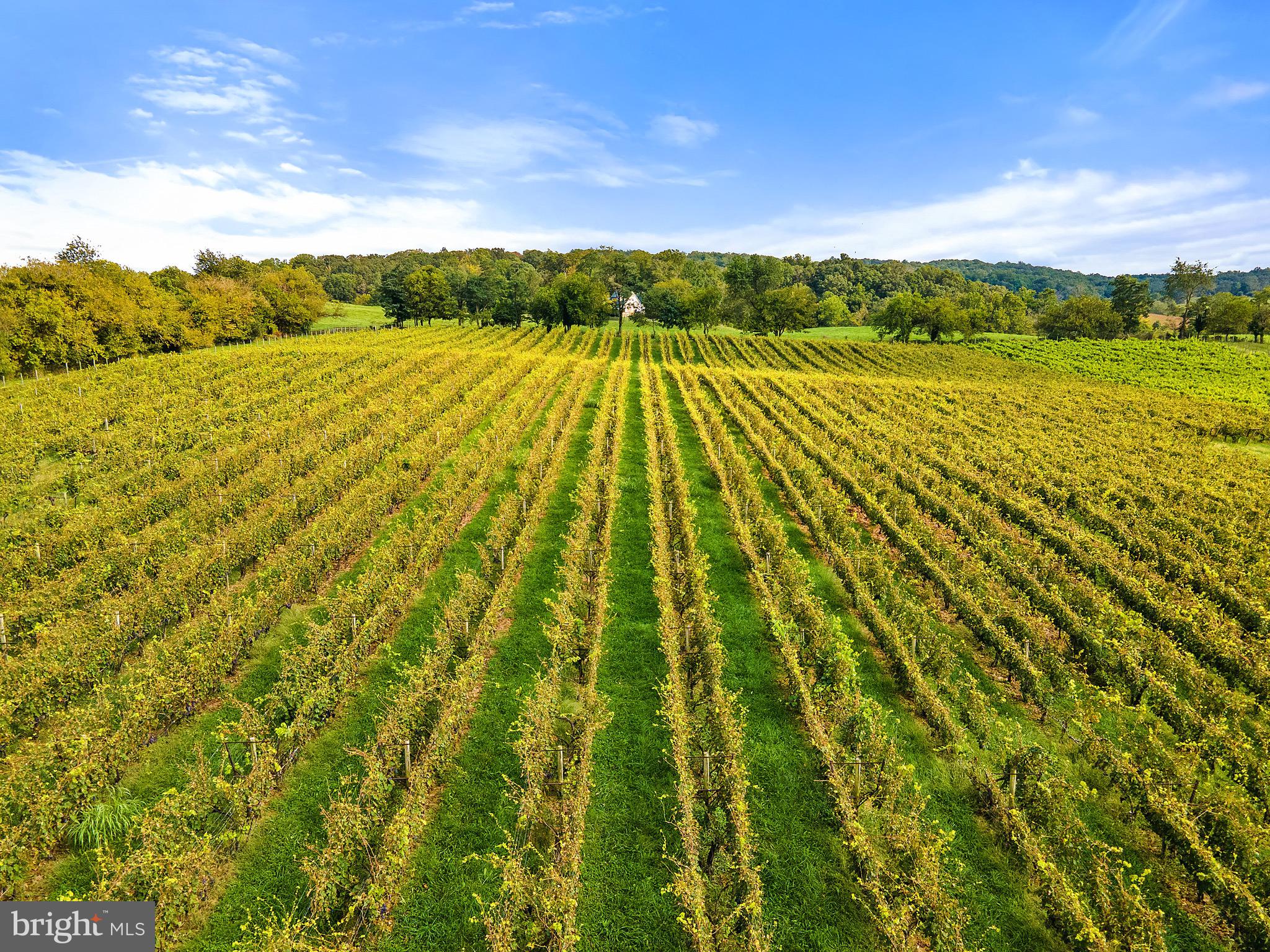 8517 Maidstone Road Delaplane, VA 20144 - Photo 47 of 49