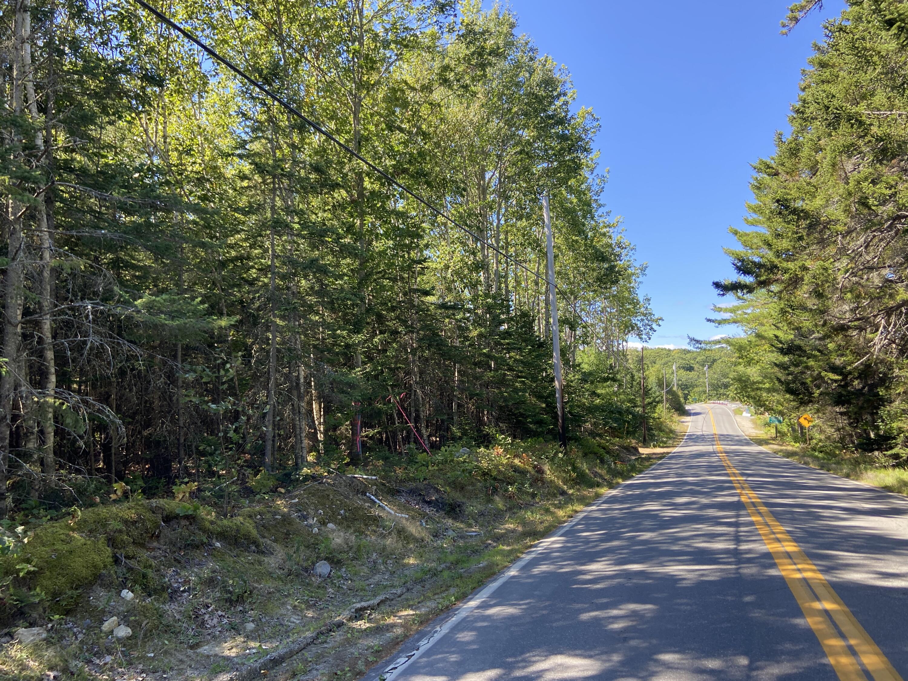 Lot 2 Frank's Flat Road Sedgwick, ME 04676 - Photo 17 of 20 048999B7-F807-4200-9CA5-0E252FC88C3A