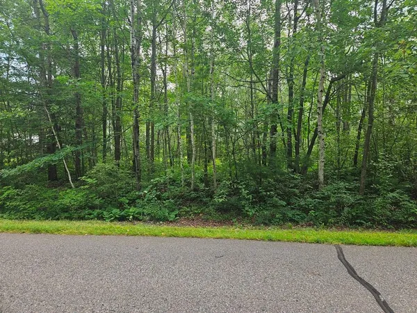 $53,000 | Lot 3-blk Southwest 1st Avenue, Grand Rapids, MN 55744
