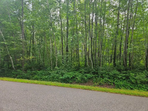 $53,000 | Lot 3-blk Southwest 1st Avenue, Grand Rapids, MN 55744