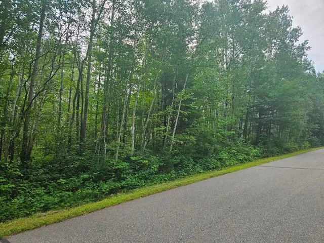 $53,000 | Lot 3-blk Southwest 1st Avenue, Grand Rapids, MN 55744