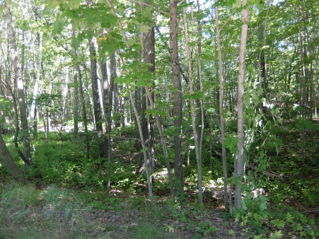 419 River Road Topsham, ME 04086 - Photo 4 of 22 DSCF9648